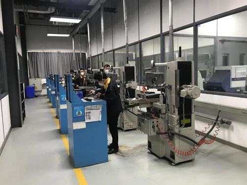 問需于企，精準服務——走進兩家優秀高新技術企業信息技術咨詢服務實踐